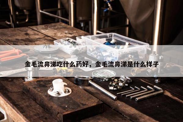 金毛流鼻涕吃什么药好，金毛流鼻涕是什么样子