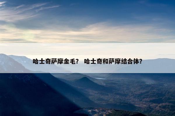 哈士奇萨摩金毛？ 哈士奇和萨摩结合体？
