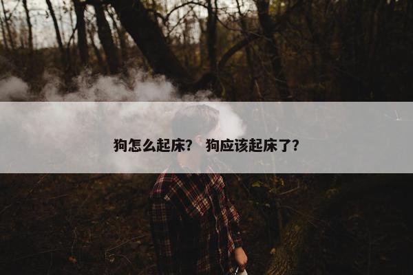 狗怎么起床？ 狗应该起床了？