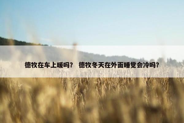 德牧在车上暖吗？ 德牧冬天在外面睡觉会冷吗？