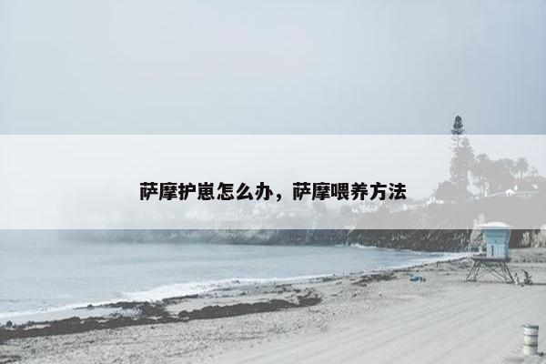 萨摩护崽怎么办，萨摩喂养方法