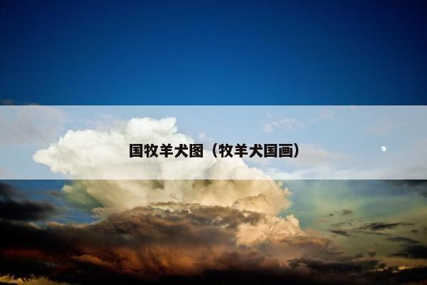 国牧羊犬图（牧羊犬国画）