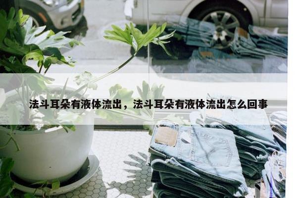 法斗耳朵有液体流出，法斗耳朵有液体流出怎么回事