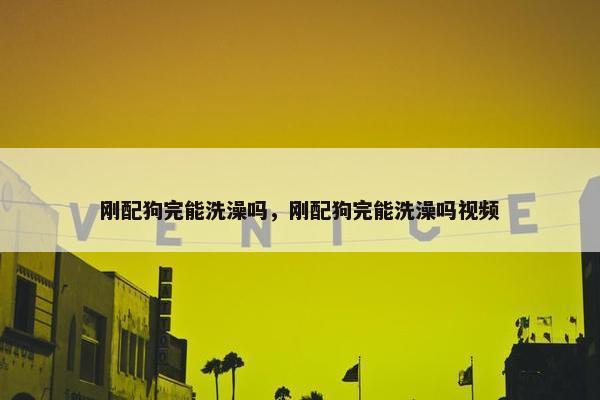刚配狗完能洗澡吗，刚配狗完能洗澡吗视频