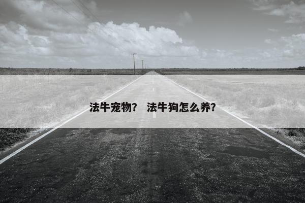 法牛宠物？ 法牛狗怎么养？
