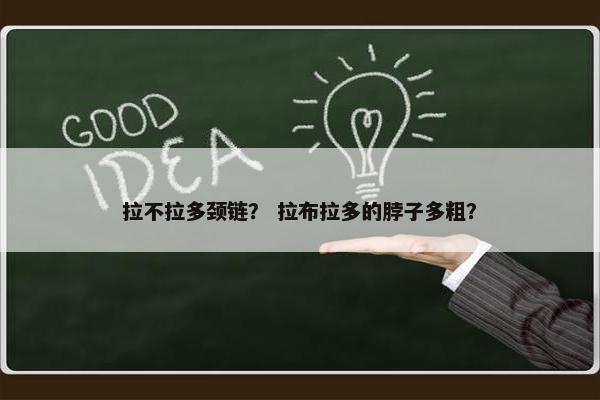拉不拉多颈链？ 拉布拉多的脖子多粗？