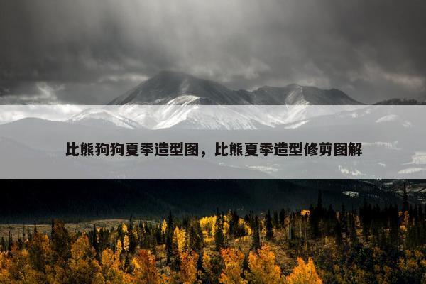 比熊狗狗夏季造型图，比熊夏季造型修剪图解