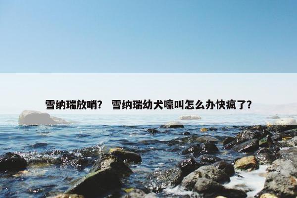 雪纳瑞放哨？ 雪纳瑞幼犬嚎叫怎么办快疯了？