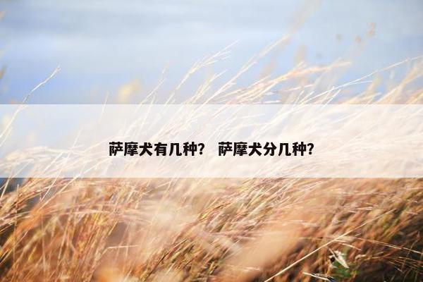 萨摩犬有几种？ 萨摩犬分几种？