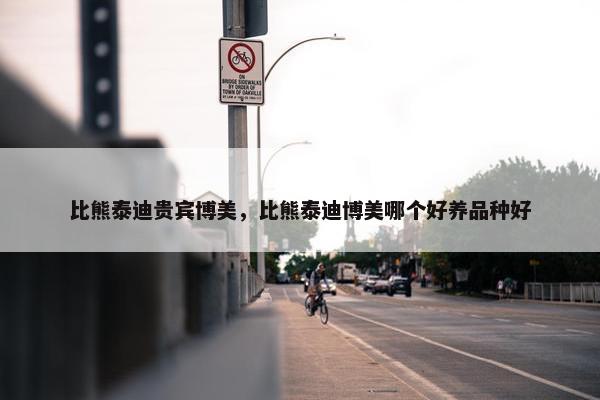 比熊泰迪贵宾博美，比熊泰迪博美哪个好养品种好