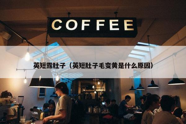 英短露肚子（英短肚子毛变黄是什么原因）