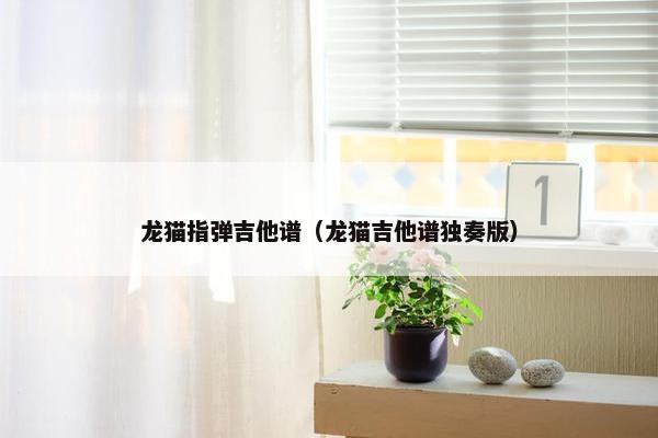 龙猫指弹吉他谱（龙猫吉他谱独奏版）