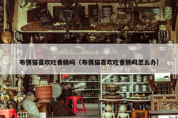 布偶猫喜欢吃香肠吗（布偶猫喜欢吃香肠吗怎么办）