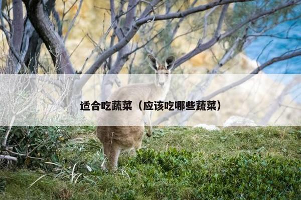 适合吃蔬菜（应该吃哪些蔬菜）