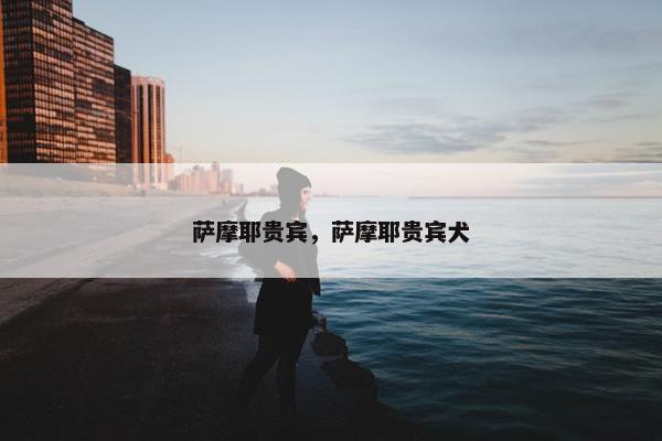 萨摩耶贵宾，萨摩耶贵宾犬