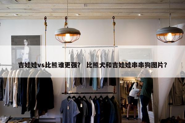 吉娃娃vs比熊谁更强？ 比熊犬和吉娃娃串串狗图片？