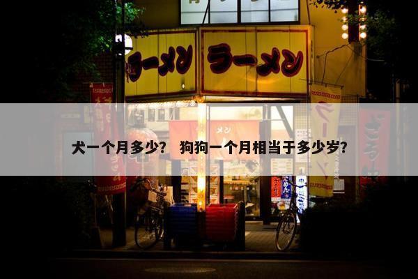 犬一个月多少？ 狗狗一个月相当于多少岁？