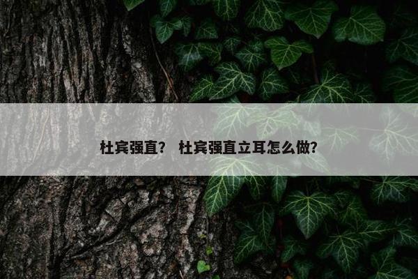 杜宾强直？ 杜宾强直立耳怎么做？