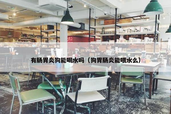 有肠胃炎狗能喝水吗（狗胃肠炎能喂水么）