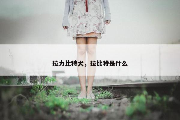 拉力比特犬，拉比特是什么