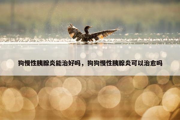 狗慢性胰腺炎能治好吗，狗狗慢性胰腺炎可以治愈吗