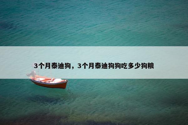 3个月泰迪狗，3个月泰迪狗狗吃多少狗粮