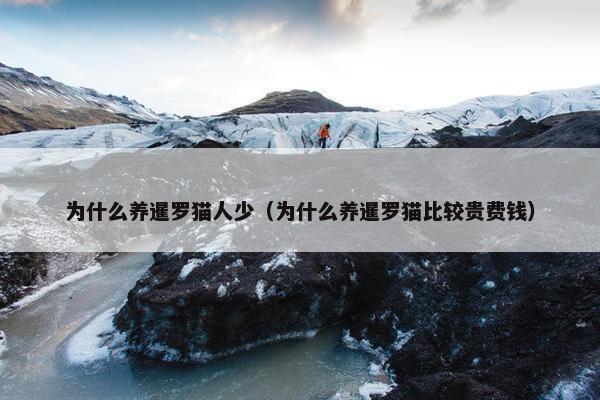 为什么养暹罗猫人少（为什么养暹罗猫比较贵费钱）