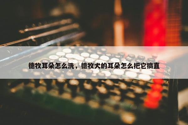 德牧耳朵怎么洗，德牧犬的耳朵怎么把它搞直