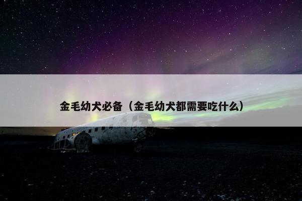 金毛幼犬必备（金毛幼犬都需要吃什么）