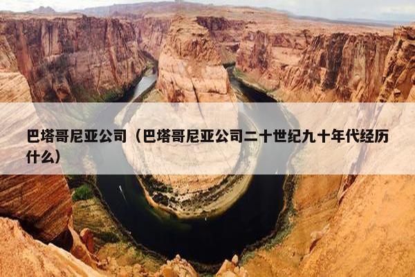 巴塔哥尼亚公司（巴塔哥尼亚公司二十世纪九十年代经历什么）