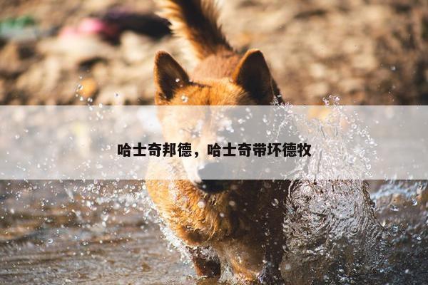 哈士奇邦德，哈士奇带坏德牧