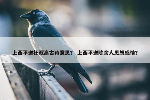 上西平送杜叔高古诗意思？ 上西平送陈舍人思想感情？
