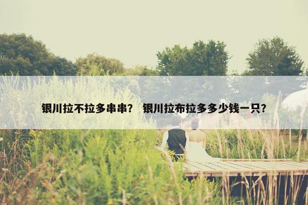 银川拉不拉多串串？ 银川拉布拉多多少钱一只？