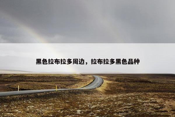 黑色拉布拉多周边，拉布拉多黑色品种