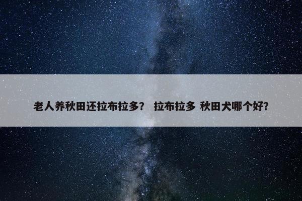 老人养秋田还拉布拉多？ 拉布拉多 秋田犬哪个好？