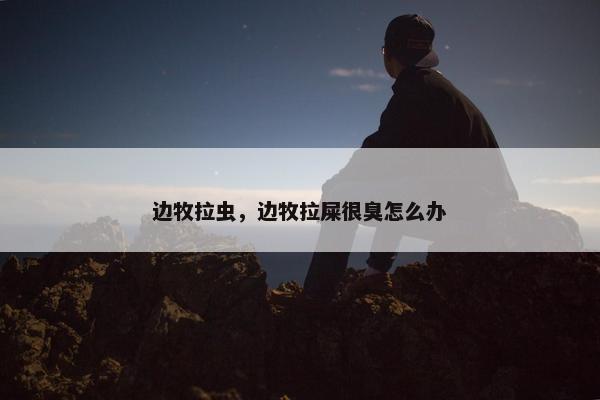 边牧拉虫，边牧拉屎很臭怎么办