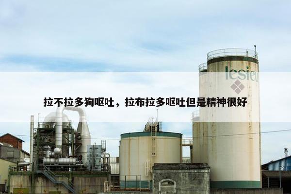 拉不拉多狗呕吐，拉布拉多呕吐但是精神很好