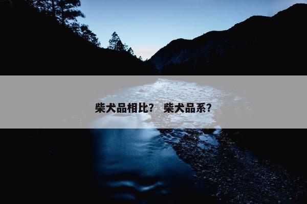 柴犬品相比？ 柴犬品系？