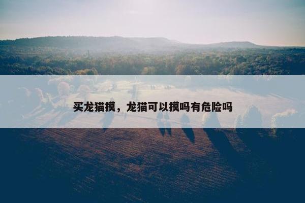 买龙猫摸，龙猫可以摸吗有危险吗