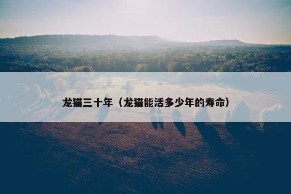 龙猫三十年（龙猫能活多少年的寿命）