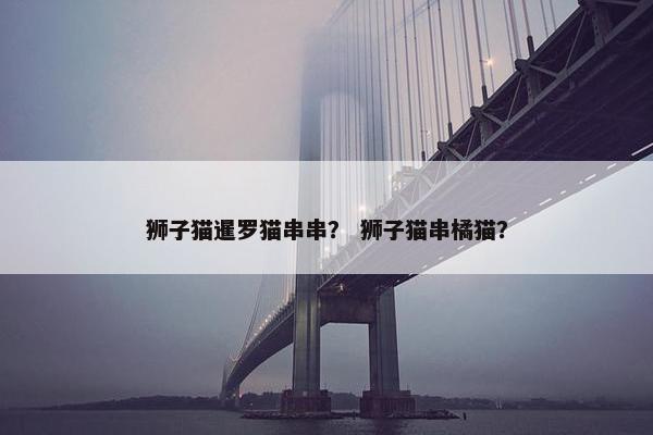 狮子猫暹罗猫串串？ 狮子猫串橘猫？