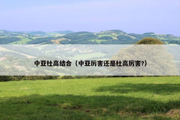 中亚杜高结合（中亚厉害还是杜高厉害?）
