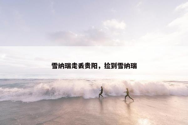 雪纳瑞走丢贵阳，捡到雪纳瑞