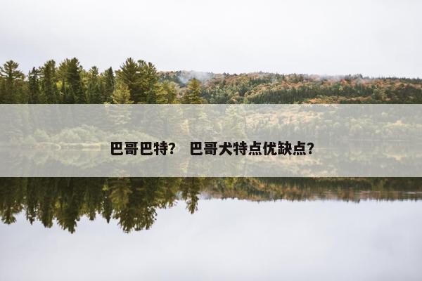 巴哥巴特？ 巴哥犬特点优缺点？