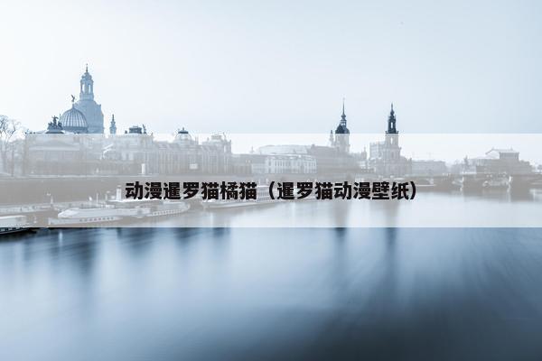 动漫暹罗猫橘猫（暹罗猫动漫壁纸）