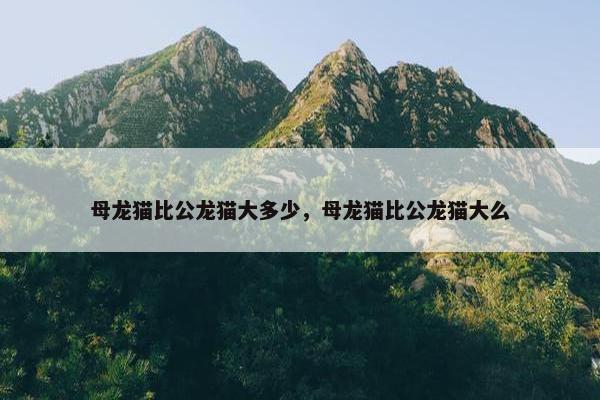 母龙猫比公龙猫大多少，母龙猫比公龙猫大么
