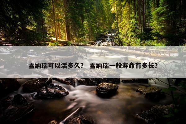 雪纳瑞可以活多久？ 雪纳瑞一般寿命有多长？