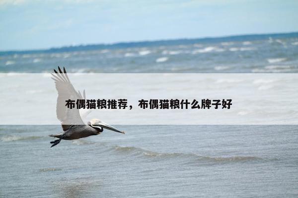布偶猫粮推荐，布偶猫粮什么牌子好