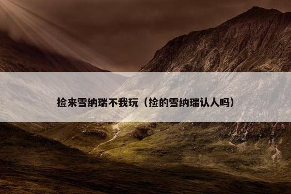 捡来雪纳瑞不我玩（捡的雪纳瑞认人吗）