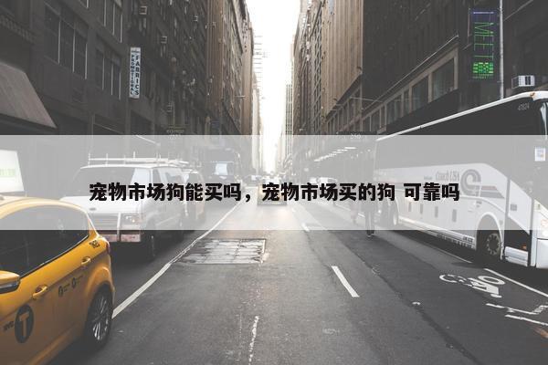 宠物市场狗能买吗，宠物市场买的狗 可靠吗